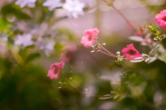 FCBCC778-202C-4895-81EC-5894DE5D4B0A