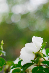 73245A61-8420-4C7E-9F72-09F2C0DC1270