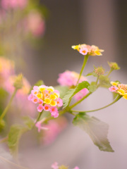 F98735B9-15CB-4470-A2AA-FC34E9DB239E