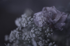 515B3257-B1FD-490D-9431-4759C7CA41C1