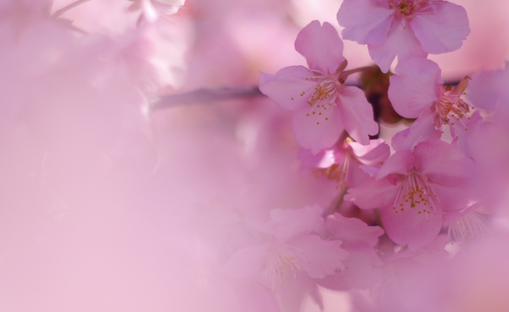 B5E35D94-2946-409D-89F3-4A0D70801999