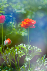 ADF3963D-F0A0-4E8F-B476-A1AB3F79C026