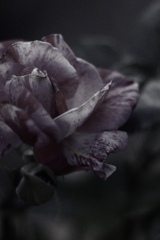 85CD765B-B8EE-4EFD-92BC-14DDC3FA4823