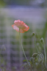 0AD1F5BF-CD20-4CA7-980B-6A8BFA516573