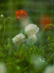 9C4B615A-FBD9-4244-9B98-383A25072222