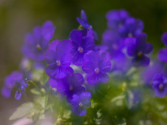 19160D26-8E31-4954-846F-E4B32B38E67A