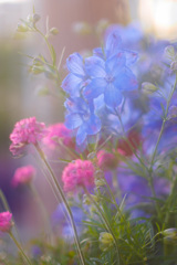 424CD788-64A3-4553-8F25-2FD3D720485C