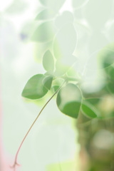 1DA6C7F1-F1FB-43F0-9FEB-B54AAF7712D4