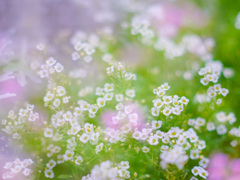 D79B7A58-3D9E-4E13-AA8B-61FD5B130A5F