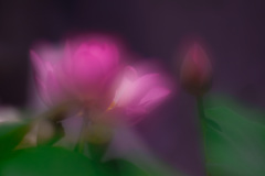 45FC3CF0-1F54-4378-8715-B6688C42ADA9