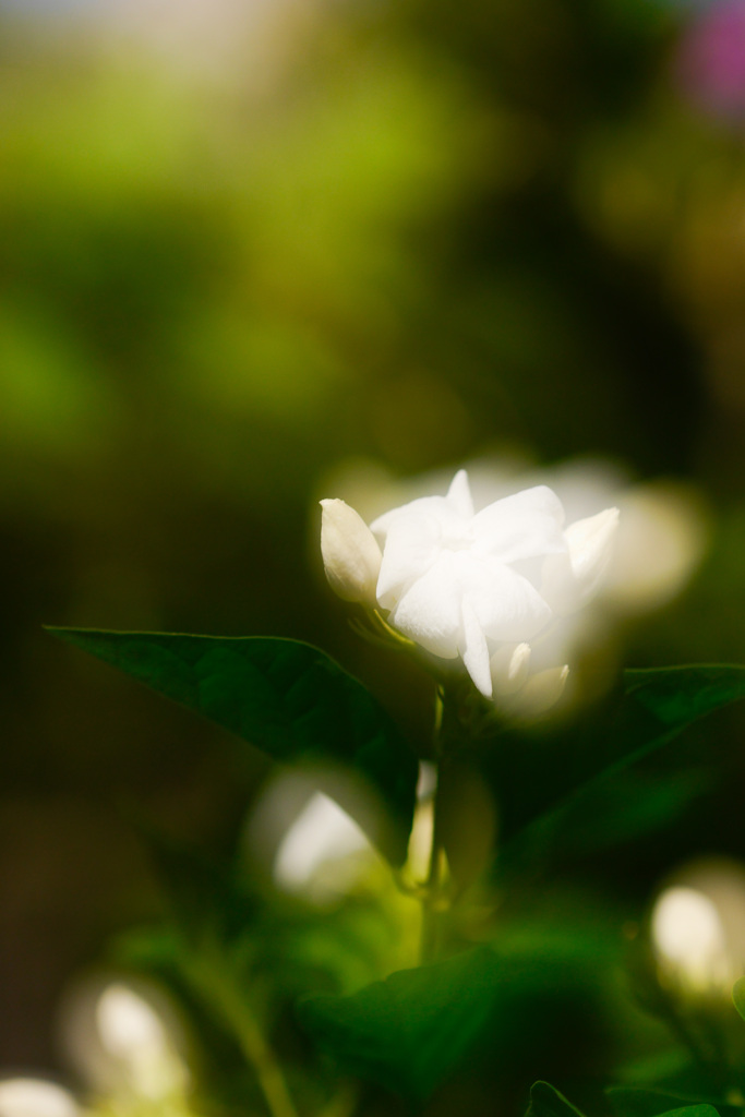 140FB5B6-0843-4B4C-AC89-F2446837AD3D