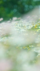 419C0571-10F9-49D5-951A-392CE5C55B74