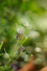 D210B918-E141-4788-B1FB-9FC0E52DD43A