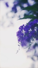 5E7B2D51-60E7-4A22-87F9-B5D1B56246D2