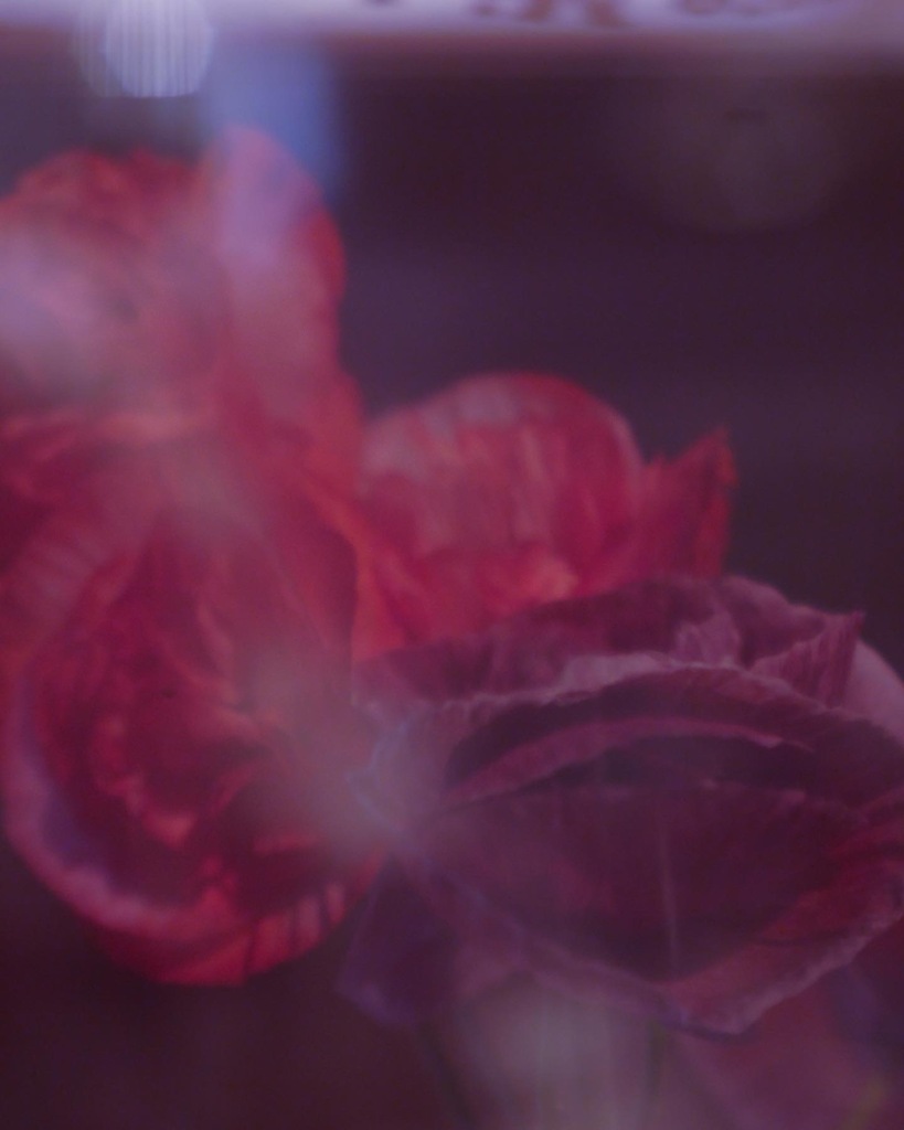 100DC639-8CB8-4B6E-83D8-28FAD24C396B