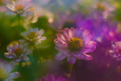 AA2877E4-6623-4C4A-9760-3835E8433AD8