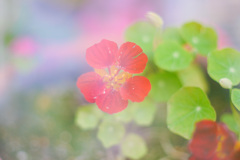 216A51D3-FA4C-45B1-8CCF-09BFE3DA93DC