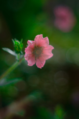 283E2B61-45E3-4643-98F4-E70CBB53226C