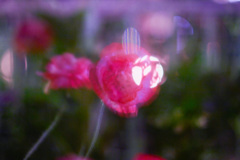 6A527476-EBA5-42D0-8E87-29721499E762