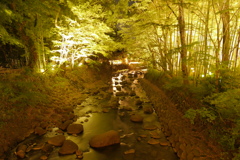 水面を撮ってみました。