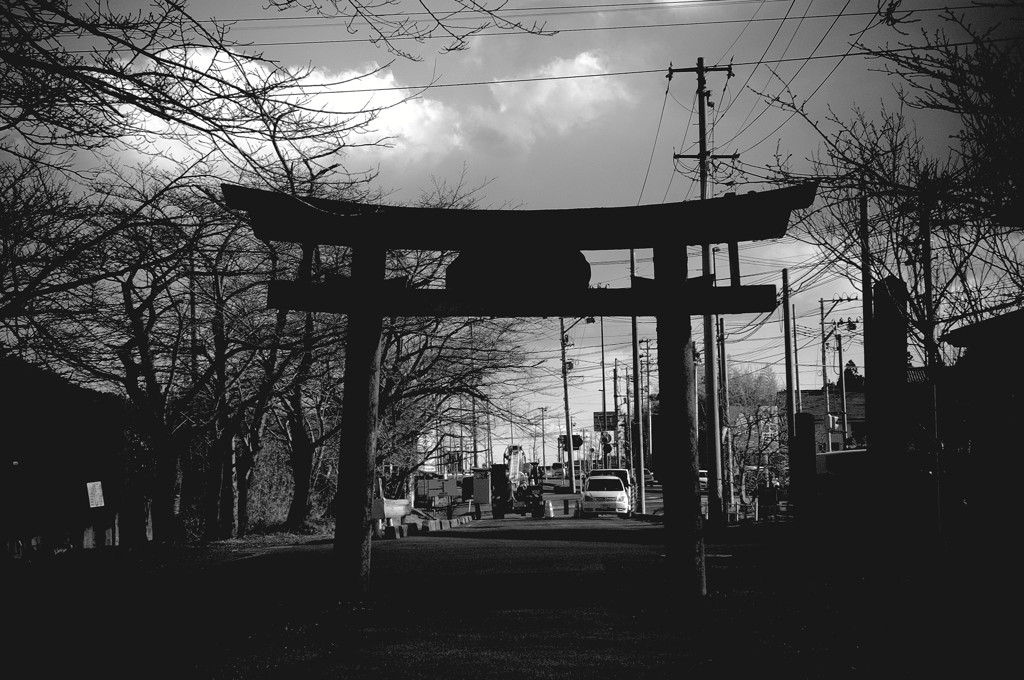 唐突な鳥居
