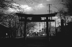 唐突な鳥居