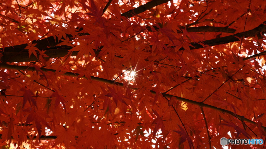 紅葉雲の隙間から