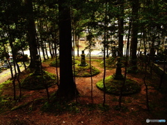 場