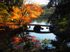 六義園の彩秋