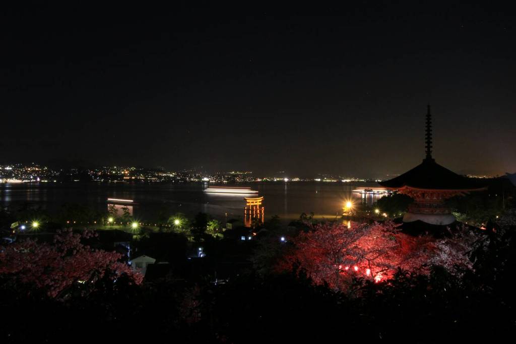 宮島夜桜