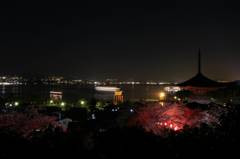 宮島夜桜