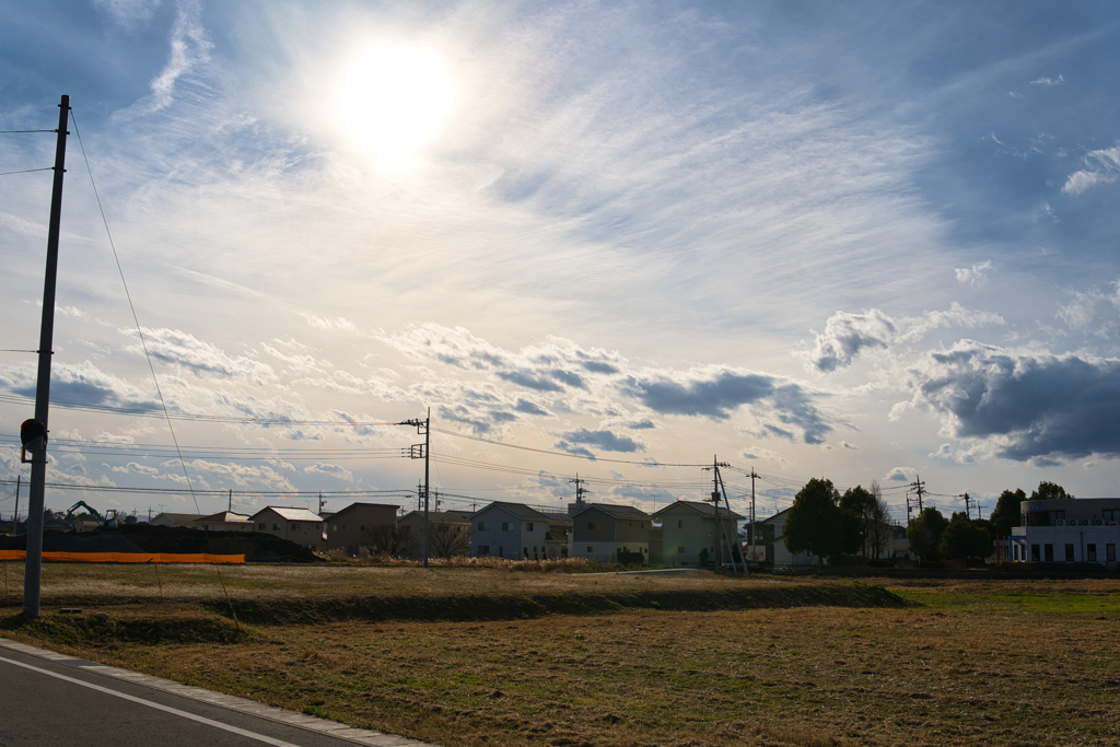 Sigma 35mm f1.2 逆光どんな感じ？