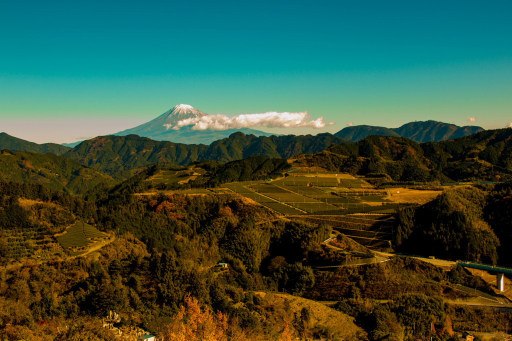 富士山
