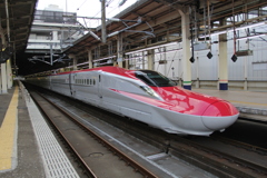 艶やかな赤い槍