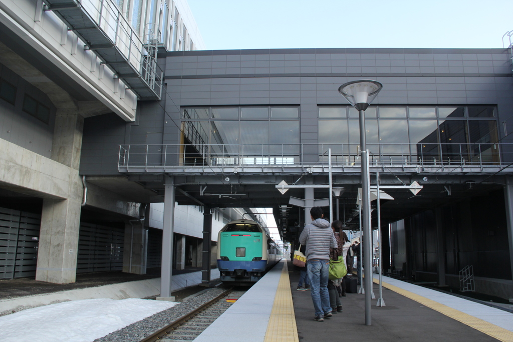 脇野田駅と485系