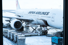 JAPAN AIRLINES SHINCHITOSE