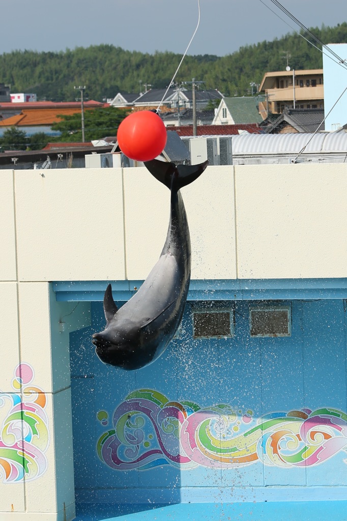 お決まりのボールキック