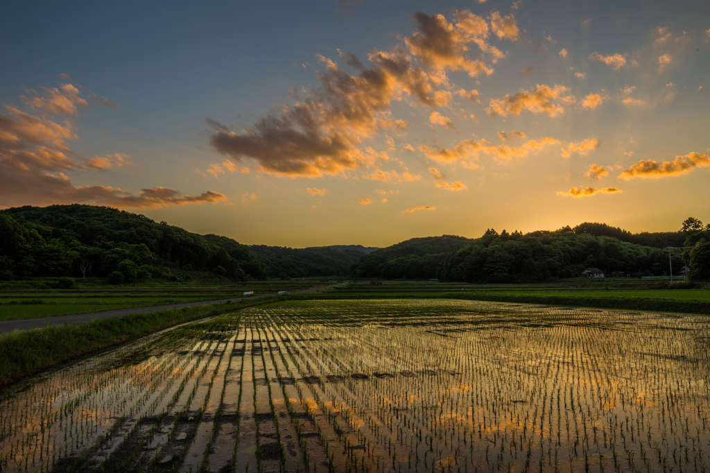 田舎風景