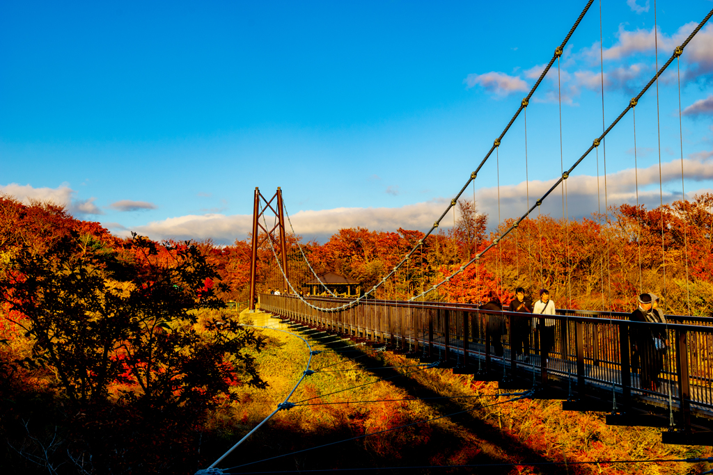 那須つつじ吊り橋 By ｎａｇａｒｅ Id 写真共有サイト Photohito