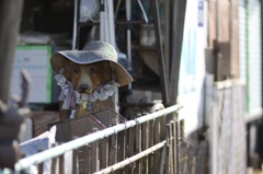 待ちぼうけ