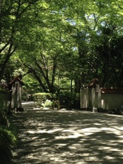 光と影