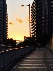 夕暮れの街を行く