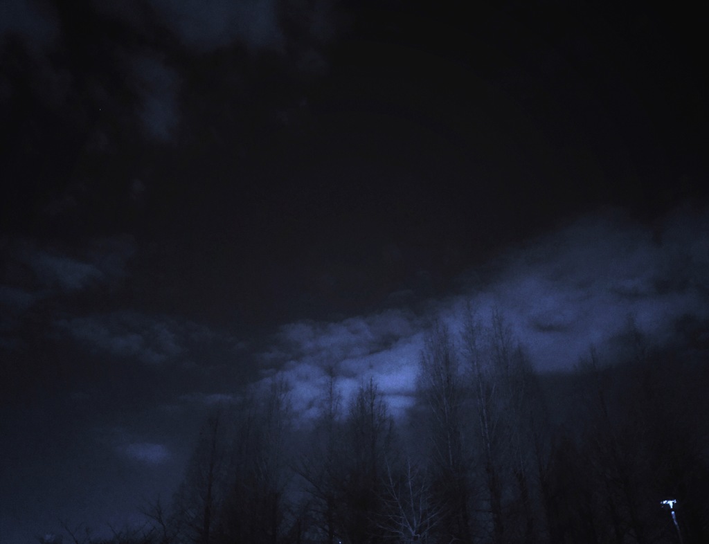 夜木立