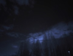 夜木立