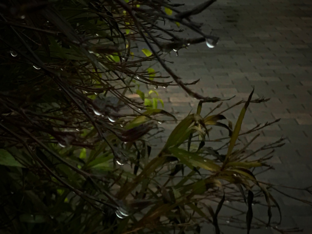 雫