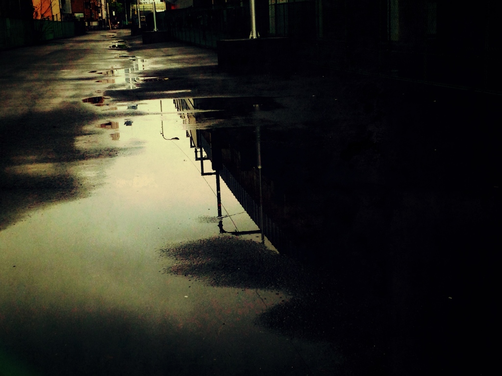 雨上がり