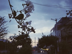 夕暮れ