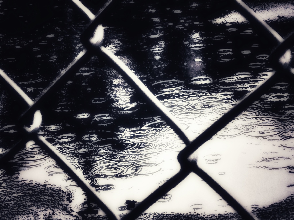雨