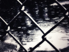 雨