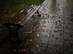 fall